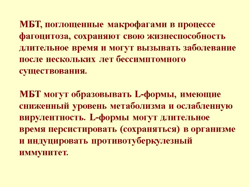 МБТ, поглощенные макрофагами в процессе фагоцитоза, сохраняют свою жизнеспособность длительное время и могут вызывать